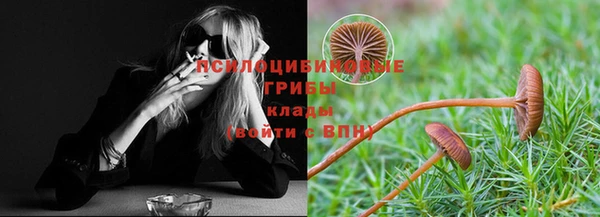 СК Пересвет