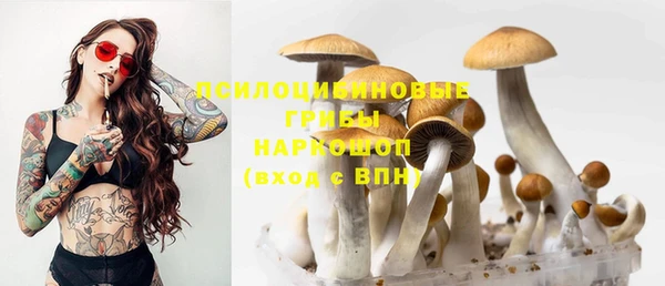 PSILOCYBIN Зеленодольск