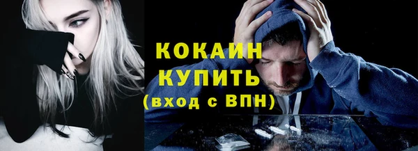 СК Пересвет