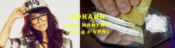 СК Пересвет