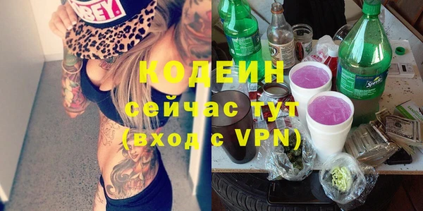 СК Пересвет