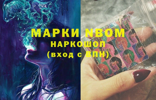 PSILOCYBIN Зеленодольск