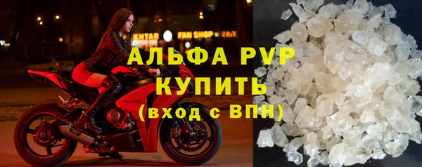 СК Пересвет