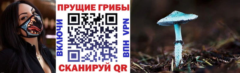 Галлюциногенные грибы ЛСД  ссылка на мегу ССЫЛКА  Нариманов 